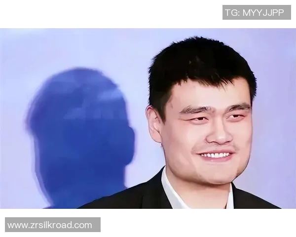 姚明过往经历 姚明过往经历